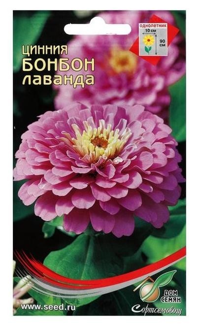 

Семена цветов цинния "Бонбон лаванда", 24 шт, Сиреневый