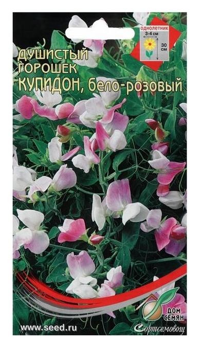 

Семена цветов горошек душистый "Купидон", бело-розовый, 6 шт
