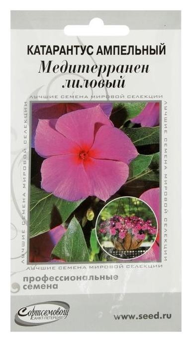 

Семена цветов катарантус амп.медитерранен, лиловый, 7 шт, Розовый