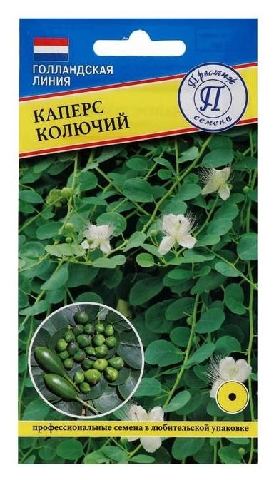 

Семена цветов каперс колючий, 3 шт, Зелёный