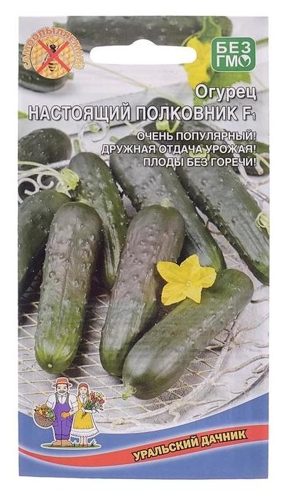 

Семена огурец настоящий полковник F1, 10 шт.