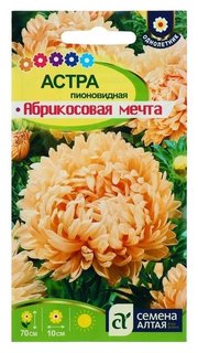 Семена цветов астра абрикосовая "Мечта", О, 0,3 г. Семена Алтая