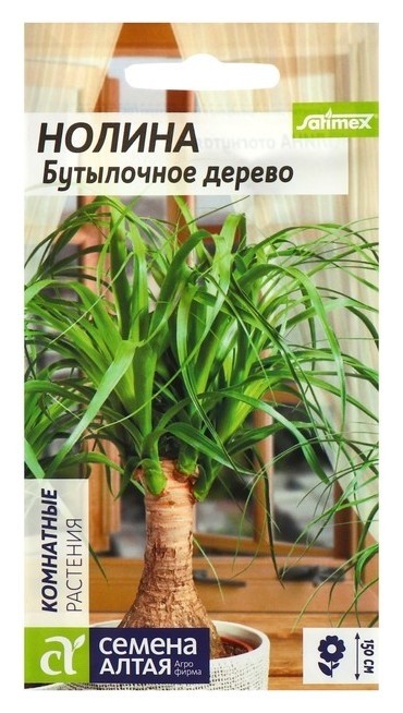

Семена комнатных цветов нолина "Бутылочное дерево", Мн, цп, 3 шт., Зелёный