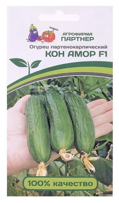 

Семена огурец "Кон амор", F1, 5 шт
