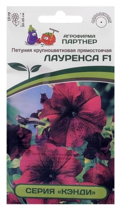 

Семена цветов петуния "Лауренса", F1, прямостоячая, бургунди, Красный
