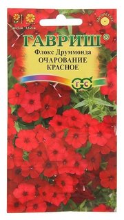 Семена цветов флокс "Очарование красное", друммонда, О, 0,05 г Гавриш