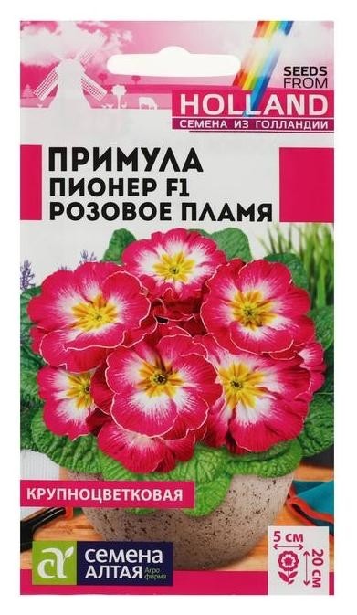 

Семена цветов примула пионер "Розовое пламя", 5 шт, Разноцветный