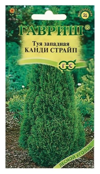 

Семена Туя западная "Канди страйп", 0,05 г