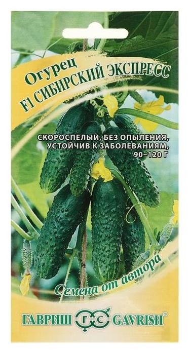 

Семена огурец "Сибирский экспресс", F1, 10 шт