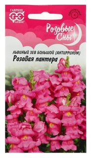 Семена цветов антирринум (Львиный зев) "Розовая пантера", серия розовые сны, 0,1 г Гавриш