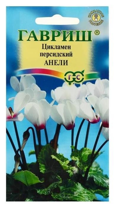 

Семена цветов цикламен "Анели", персидский, 3 шт, Белый