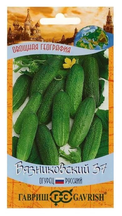 Семена огурец "Вязниковский 37", серия география, 0,5 г  Гавриш