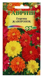 Семена цветов георгина "Жаворонок", смесь, 0,3 г Гавриш