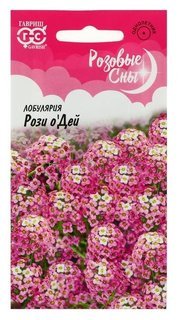 Семена цветов лобулярия "Рози о дей", серия розовые сны, 0,1 г Гавриш