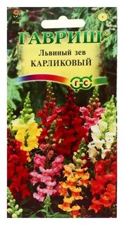 Семена цветов антирринум (Львиный зев) "Карликовый", смесь, 0,1 г Гавриш