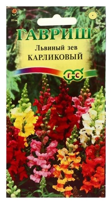 Семена цветов антирринум (Львиный зев) "Карликовый", смесь, 0,1 г  Гавриш