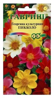 Семена цветов георгина "Пикколо", смесь, 0,3 г Гавриш