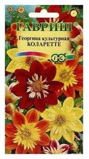 Семена цветов георгина "Коларетте", 0,2 г Гавриш