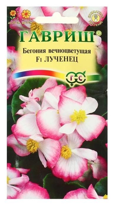 

Семена цветов бегония "Лученец", F1, вечноцветущая, гранулы, 5 шт, Разноцветный