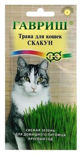 Семена трава для кошек "Скакун", 10 г Гавриш
