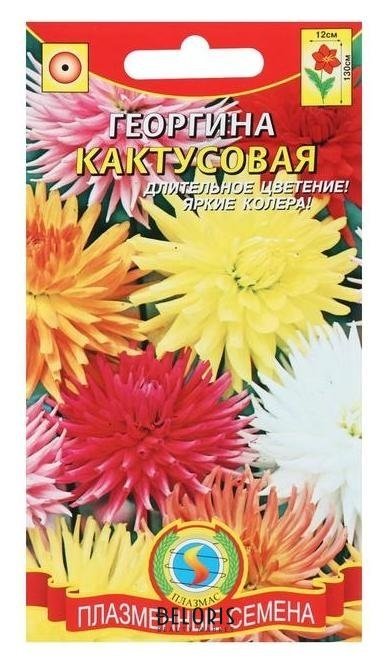 Семена цветов георгина Кактусовая, смесь, О, 13 шт Плазмас