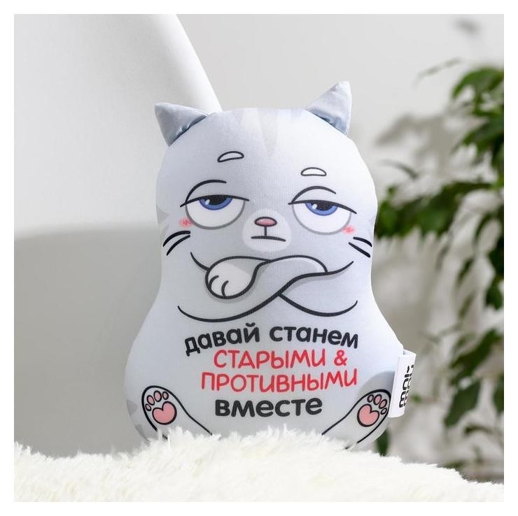 

Игрушка антистресс «Давай станем старыми и противными вместе», Серый