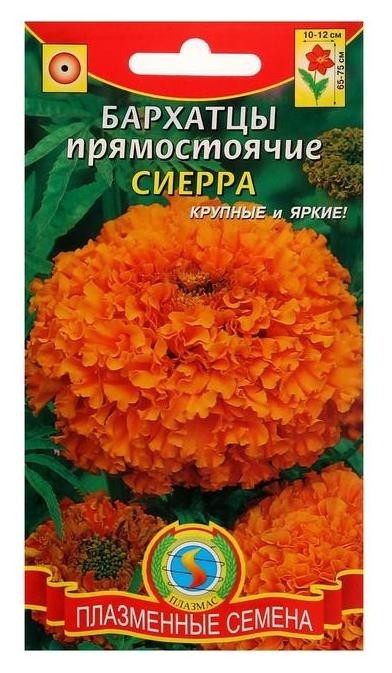 

Семена цветов бархатцы прямостоячие "Сиерра", О, 45 шт, Оранжевый