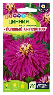 Семена цветов цинния "Лиловый император" кактусовидная, О, цп, 0,2 г Семена Алтая
