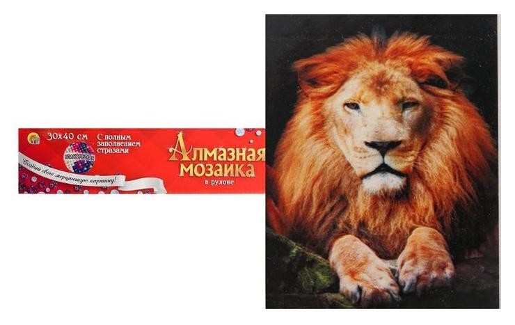 

Алмазная мозаика с полным заполнением, без подрамника, 30 × 40 см «Гордый лев»