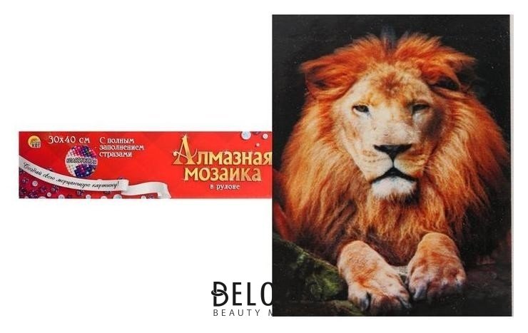 Алмазная мозаика с полным заполнением, без подрамника, 30 × 40 см «Гордый лев» Рыжий кот (Red cat toys)