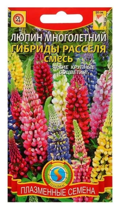 

Семена цветов люпин "Гибриды расселя", смесь, мн., 0,45 г, Разноцветный