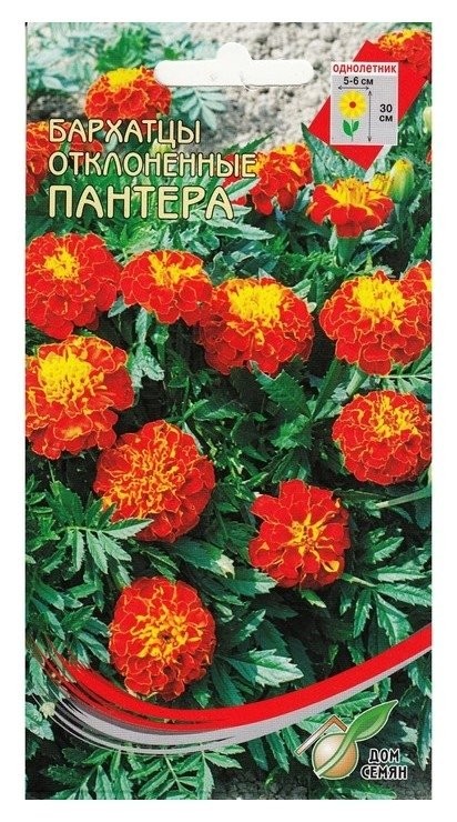 

Семена цветов бархатцы отклонённые "Пантера" Дом семян, О, 100 шт, Разноцветный