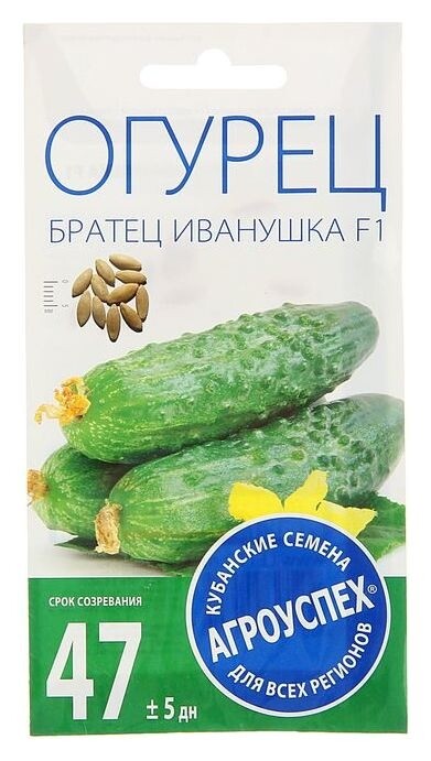 Семена огурец братец иванушка F1, ранний, пчелоопыляемый, 0,3 гр  Агроуспех