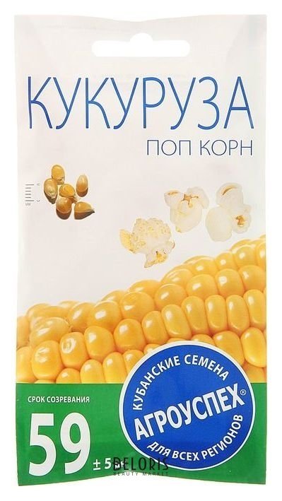 Семена кукуруза Поп корн, 5 гр Агроуспех