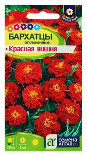 Семена цветов бархатцы "Красная вишня", О, 0,2 г. Семена Алтая