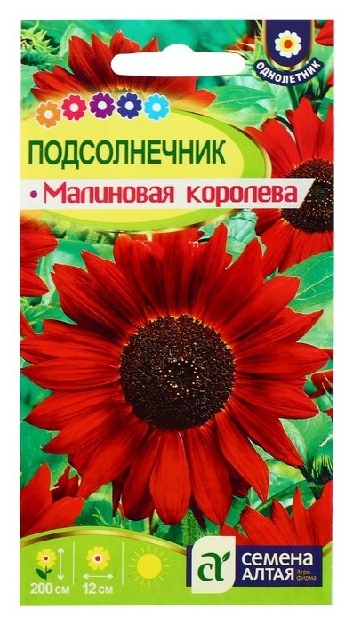 

Семена цветов подсолнечник "Малиновая королева", О, 0,5 г., Красный