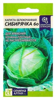 Семена капуста "Сибирячка 60", цп, 0,5 г Семена Алтая