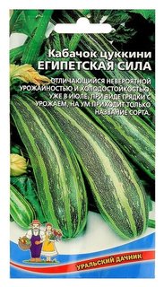 Семена кабачок "Египетская сила" цуккини, 10 шт Уральский дачник