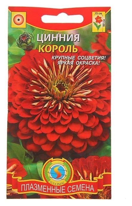 

Семена цветов цинния "Король", О, 0,3 г (3 шт.), Красный