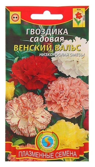 

Семена цветов гвоздика садовая "Венский вальс", дв., 0,1 г, Разноцветный