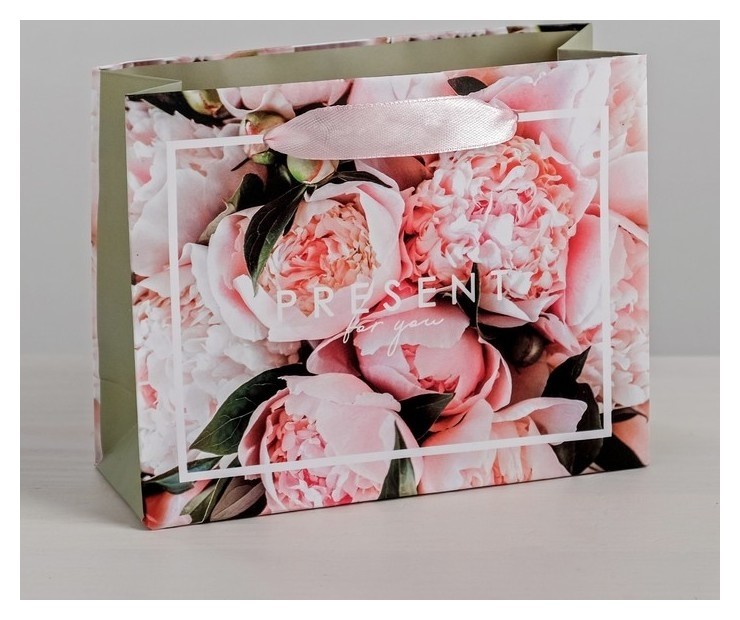 

Пакет ламинированный горизонтальный Present, ML 27 × 23 × 8 см, Белый