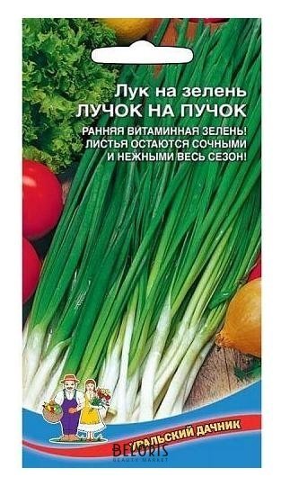Семена Лук на зелень Лучок на пучок, 0,5 г Уральский дачник