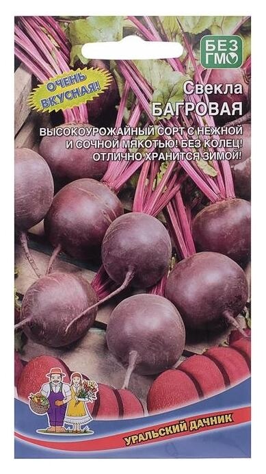 Семена свекла "Багровая", 2 г  Уральский дачник