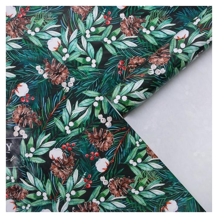 

Бумага упаковочная глянцевая «Зимний хлопок», 70 × 100 см, Зелёный