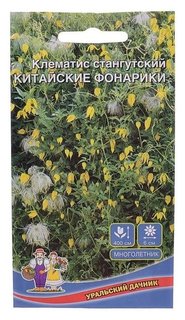 Семена цветов клематис стангутский "Китайские фонарики", 12 шт Уральский дачник