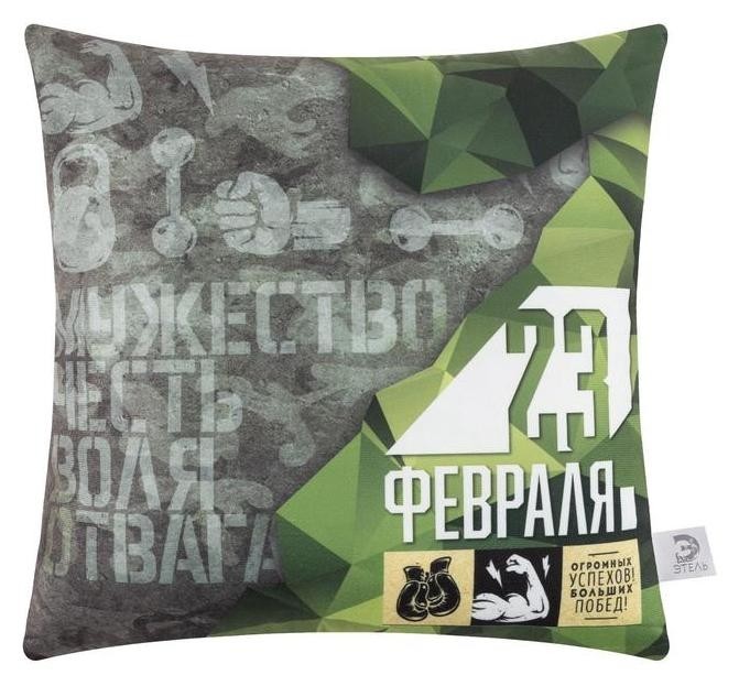 

Подушка декоративная этель "Огромных успехов" 40х40 см, велюр, велюр, 100% п/э, Зеленый