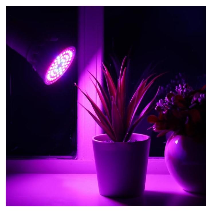 

Светодиодная лампа для растений Luazon Lighting, 3,5 Вт, E27, 220в