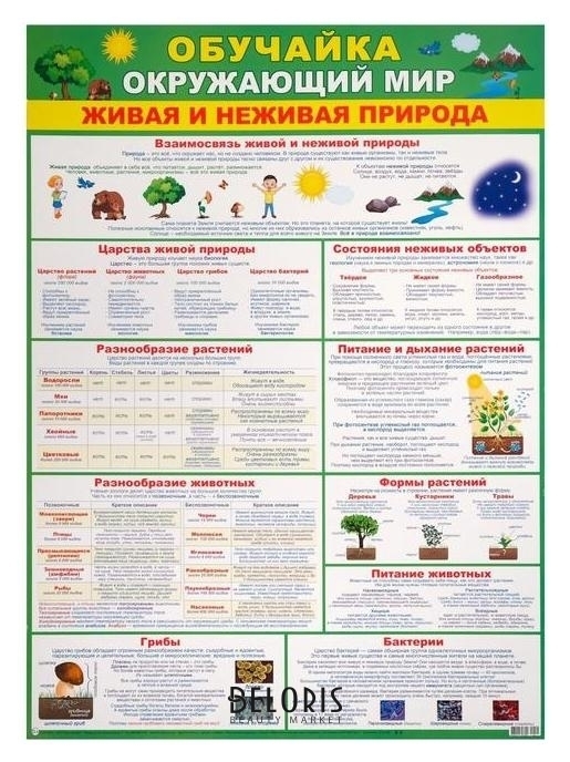 Плакат Обучайка окружающий мир зеленый фон, А2 Мир открыток