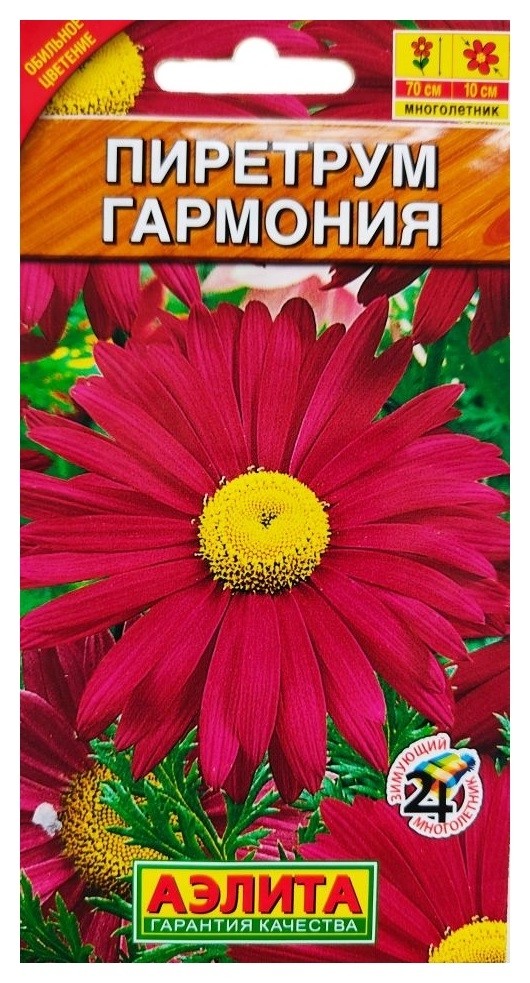 

Семена. пиретрум "Гармония", многолетник