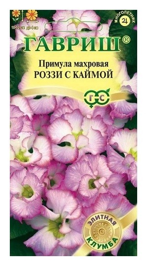 

Семена. примула "Роззи с каймой", махровая (3 штуки)